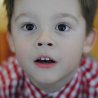 Nikitka. November 2011