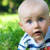 Tema. September 2012